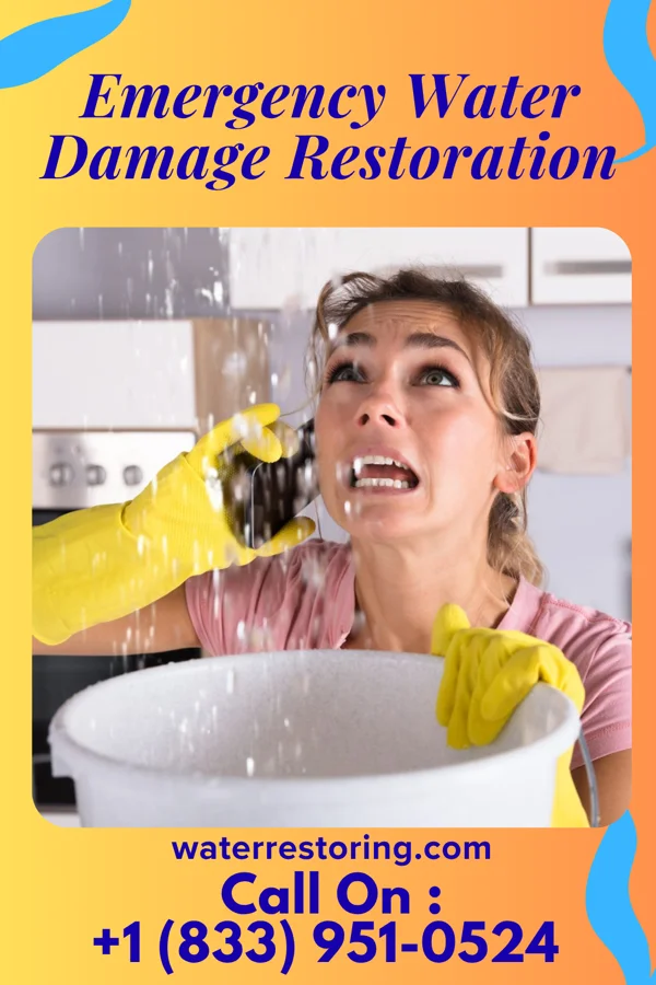 Emergency Water Damage Restoration in Beardsley, MN