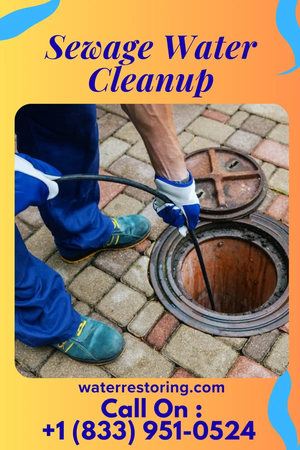 Sewage Water Cleanup in Beardsley, MN